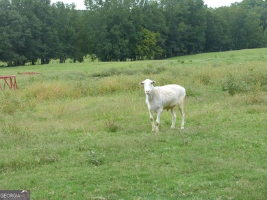 Hidden Gem in Walton County. Beautiful 124 Acre Cattle Farm (5 - photo 23