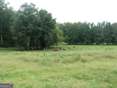 Hidden Gem in Walton County. Beautiful 124 Acre Cattle Farm (5 - photo 24