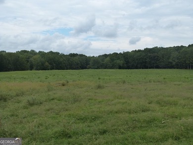 Hidden Gem in Walton County. Beautiful 124 Acre Cattle Farm (5 - photo 25