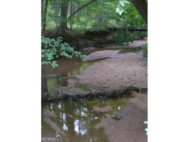 Hidden Gem in Walton County. Beautiful 124 Acre Cattle Farm (5 - photo 26