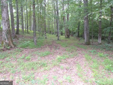 Hidden Gem in Walton County. Beautiful 124 Acre Cattle Farm (5 - photo 28