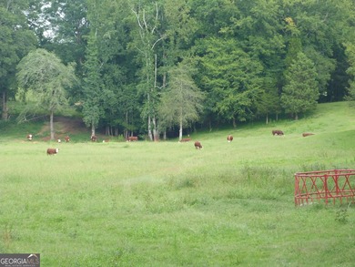 Hidden Gem in Walton County. Beautiful 124 Acre Cattle Farm (5 - photo 30