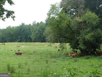 Hidden Gem in Walton County. Beautiful 124 Acre Cattle Farm (5 - photo 31