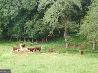 Hidden Gem in Walton County. Beautiful 124 Acre Cattle Farm (5 - photo 32