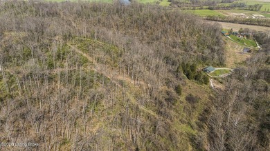 Welcome to a rare opportunity in Carroll County-this stunning 3 - photo 33