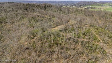 Welcome to a rare opportunity in Carroll County-this stunning 3 - photo 34