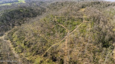 Welcome to a rare opportunity in Carroll County-this stunning 3 - photo 37