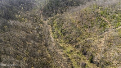 Welcome to a rare opportunity in Carroll County-this stunning 3 - photo 38