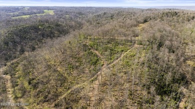 Welcome to a rare opportunity in Carroll County-this stunning 3 - photo 39