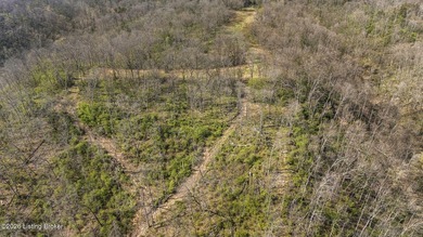 Welcome to a rare opportunity in Carroll County-this stunning 3 - photo 40