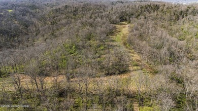 Welcome to a rare opportunity in Carroll County-this stunning 3 - photo 41