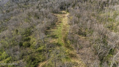 Welcome to a rare opportunity in Carroll County-this stunning 3 - photo 42