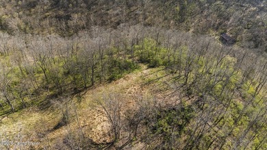 Welcome to a rare opportunity in Carroll County-this stunning 3 - photo 43