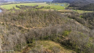 Welcome to a rare opportunity in Carroll County-this stunning 3 - photo 44