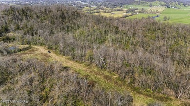 Welcome to a rare opportunity in Carroll County-this stunning 3 - photo 45