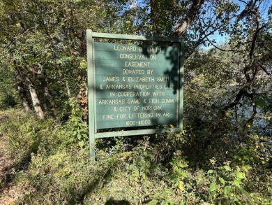 Diamond in the Rough River Property - photo 11