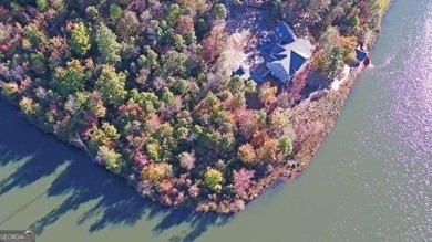 Lake Lot For Sale in Cleveland, Georgia
