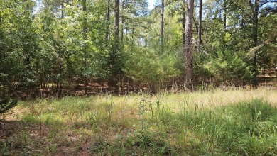 Lake Lot For Sale in Lincolnton, Georgia