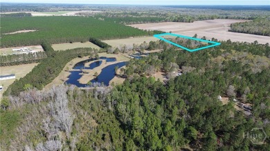 (private lake, pond, coastal) Acreage Active Under Contract in Clyo Georgia