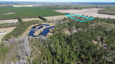 (private lake, pond, creek) Acreage For Sale in Clyo Georgia