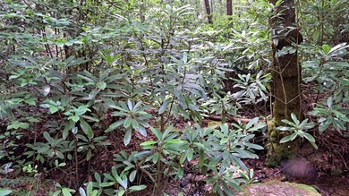 Additional listing photo 4