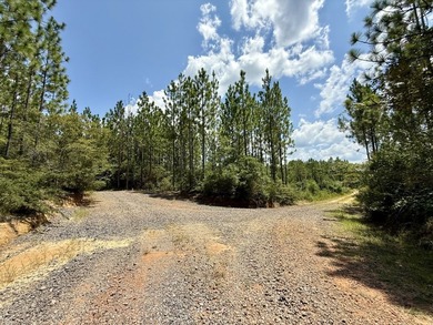 This prime hunting & timber investment is located in the Vinegar - photo 13