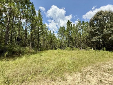 This prime hunting & timber investment is located in the Vinegar - photo 14