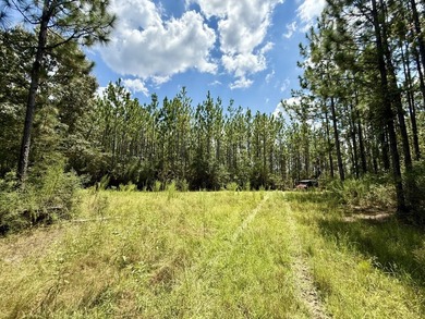 This prime hunting & timber investment is located in the Vinegar - photo 15