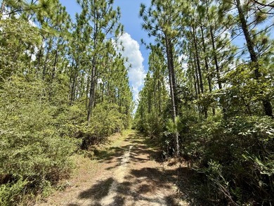 This prime hunting & timber investment is located in the Vinegar - photo 16