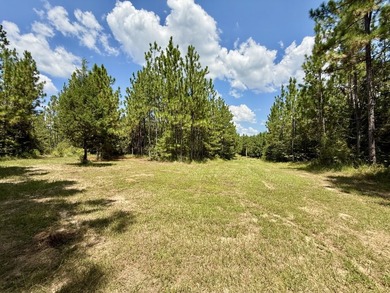 This prime hunting & timber investment is located in the Vinegar - photo 17