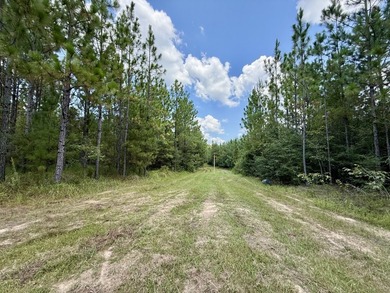 This prime hunting & timber investment is located in the Vinegar - photo 18