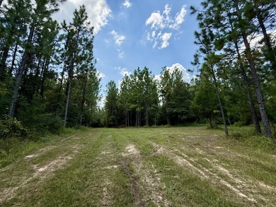This prime hunting & timber investment is located in the Vinegar - photo 19