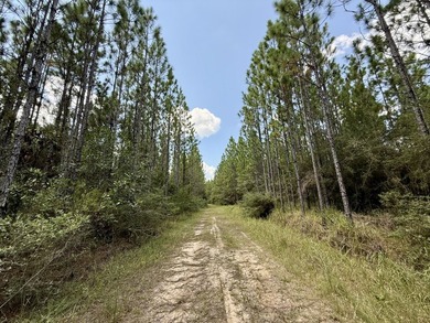 This prime hunting & timber investment is located in the Vinegar - photo 20
