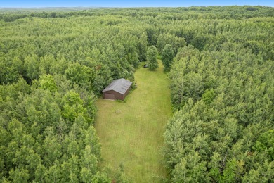 Great opportunity to own 40 acres in paradise with a 30x40 pole - Lake Acreage For Sale in Fountain, Michigan