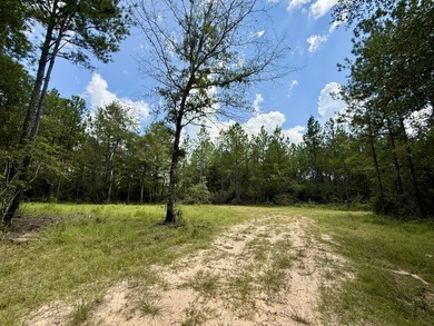 This prime hunting & timber investment is located in the Vinegar - photo 21