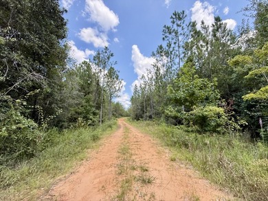 This prime hunting & timber investment is located in the Vinegar - photo 22