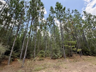 This prime hunting & timber investment is located in the Vinegar - photo 23