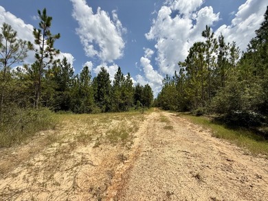 This prime hunting & timber investment is located in the Vinegar - photo 24