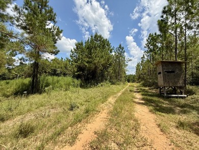 This prime hunting & timber investment is located in the Vinegar - photo 25