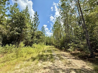This prime hunting & timber investment is located in the Vinegar - photo 26