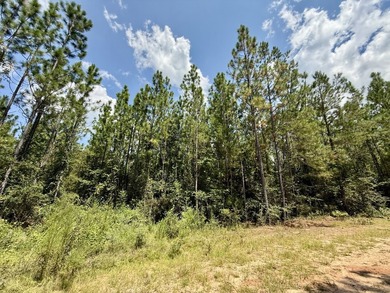 This prime hunting & timber investment is located in the Vinegar - photo 27