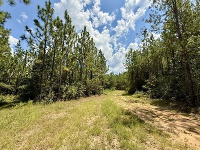 This prime hunting & timber investment is located in the Vinegar - photo 28