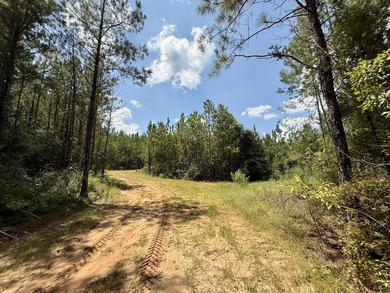 This prime hunting & timber investment is located in the Vinegar - photo 30