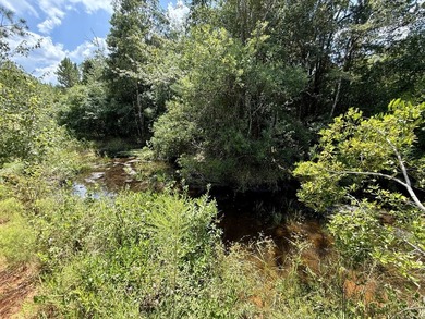 This prime hunting & timber investment is located in the Vinegar - photo 31