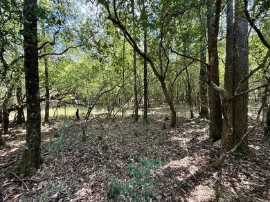 This prime hunting & timber investment is located in the Vinegar - photo 32