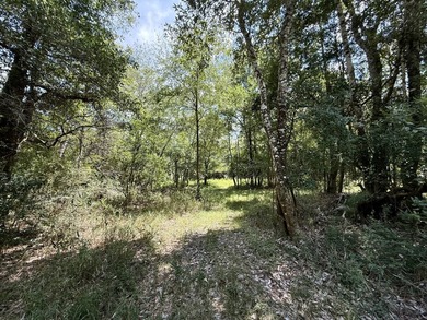 This prime hunting & timber investment is located in the Vinegar - photo 33
