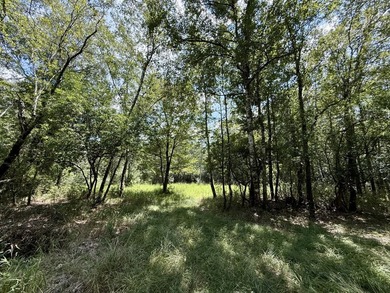 This prime hunting & timber investment is located in the Vinegar - photo 34