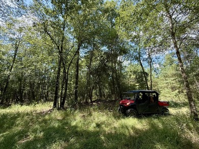 This prime hunting & timber investment is located in the Vinegar - photo 35