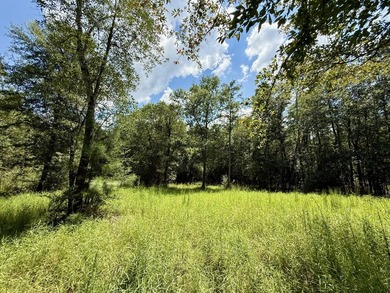 This prime hunting & timber investment is located in the Vinegar - photo 36