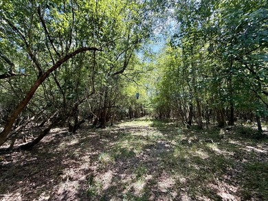 This prime hunting & timber investment is located in the Vinegar - photo 37